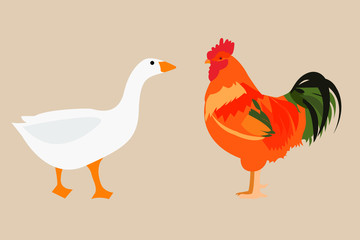 goose and cocl\k rooster bird vector illustration