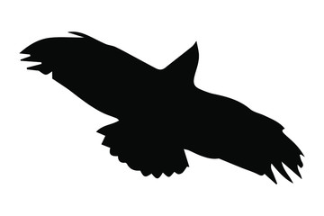 crow silhouette vector