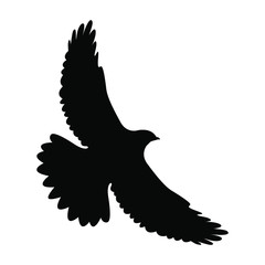 no hawk sign vector