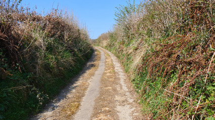 Fototapeta na wymiar Small country roads, tracks in South East Cornwall, UK in springtime sunshine.