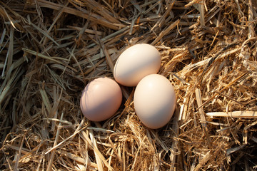 Three eggs lie on a background of hay, top view.