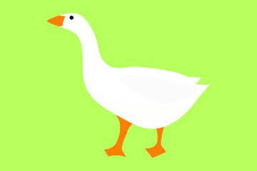 goose on a green background