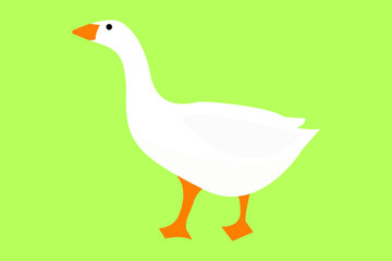 goose on a green background