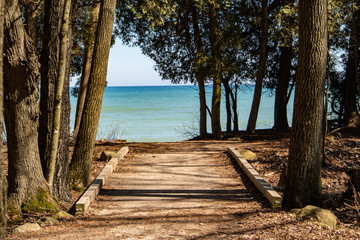 Fototapeta na wymiar Path to the lake through the trees