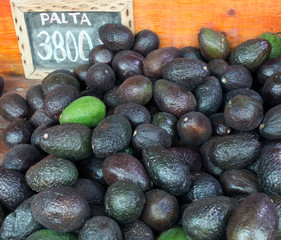 Exposition of avocado fruits at market