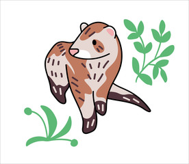 Ferret vector illustration. Hand drawn cute Mustela putorius furo with leaves.