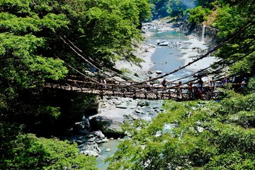 祖谷のかずら橋