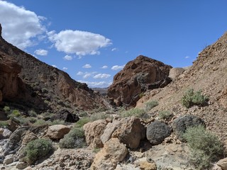 Fototapeta premium desert sky