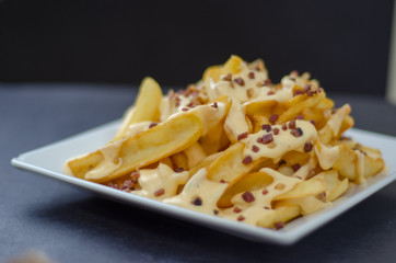 french fries with cheese and bacon