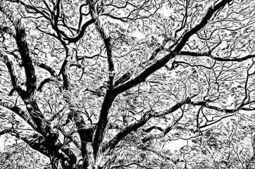 Big tree with branches spread illustration creates a black and white style of drawing.