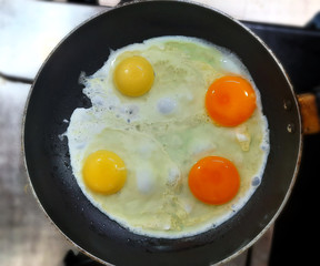 fried egg in a frying pan, sunny side up