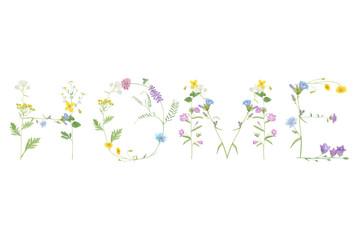 Watercolor hand drawn wild meadow floral word Home isolated on white background. Flower letter for poster, print, summer card, design etc.