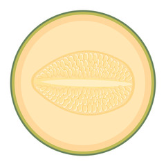 Fresh half melon fruit isolated on white background. Cantaloupe melon. Summer fruits for healthy lifestyle. Organic fruit. Cartoon style. Vector illustration for any design.