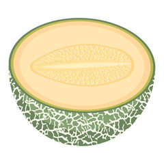Fresh half melon fruit isolated on white background. Cantaloupe melon. Summer fruits for healthy lifestyle. Organic fruit. Cartoon style. Vector illustration for any design.