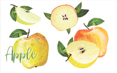 beautiful fresh illustrations of fruits