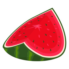 Fresh cut slice watermelon fruit isolated on white background. Summer fruits for healthy lifestyle. Organic fruit. Cartoon style. Vector illustration for any design.