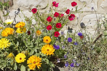 Les couleurs du printemps