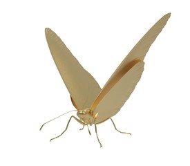 3d illustration of the butterfly