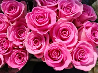 purple roses flower bouquet, directly above