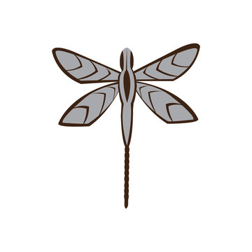 Dragonfly illustration of a simple color vector design