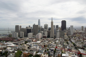 Downtoan San Francisco City Skyline