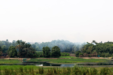 View to the coast of Nile