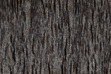 Obraz premium ABSTRACT PENCIL TEXTURE PATTERN SEAMLESS BACKGROUND