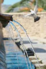 Closeup Water Flow Out Of Granfonte Monumental Fountain In Leonforte (Sicily) , On Blurred Background A Dove Flying Away