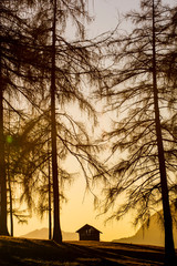 Little hut in the woods during sunset