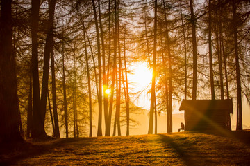 Person sitting next to a little hut in the woods during sunset