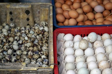 colorful food market in hue
