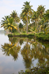 Fototapeta na wymiar Canals in the Back Waters in Kerala