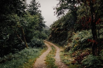 Obraz premium Mountain path in winter
