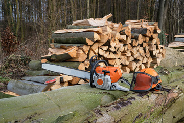 Waldbauern bzw. Waldarbeiter schneiden und verkleinern gefällte Bäume zu Brennholz. Forsttechnik...
