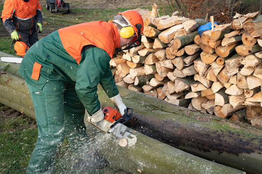 Waldbauern bzw. Waldarbeiter schneiden und verkleinern gef&auml;llte B&auml;ume zu Brennholz. Forsttechnik und Arbeitsschutz sind unentbehrlich bei der teilweise sehr schweren Arbeit.