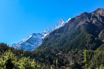 Obraz premium View on Himalayas along Annapurna Circuit Trek, Nepal. There is a dense forest in front. High, snow caped mountains' peaks catching the sunbeams. Serenity and calmness. Barren slopes