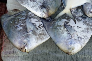 street market in ho chi minh city