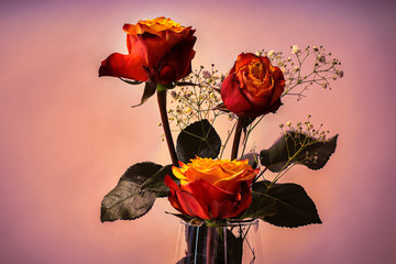 Rosen