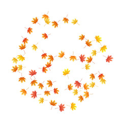 Maple leaves vector background, autumn foliage on white graphic design.