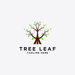 tree and leaf logo design - vector