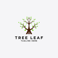 Obraz premium tree and leaf logo design - vector