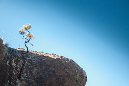 zdjęcie przedstawiające skałę  w g&oacute;rach Hiszpanii  w słońcu wiosną. teren wspinaczkowy bouldering