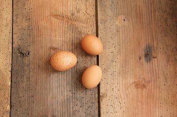 Landeier Bioeier Hühnereier Braun Freilandeier 