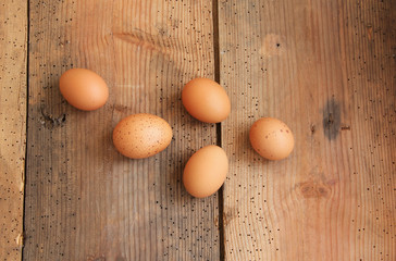Hühnereier Hühnerei Ei Eier Landeier Freiland Bodenhaltung Bio Bioeier