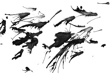 Abstract ink splash isolate on white background. 