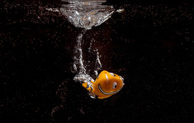 Splash