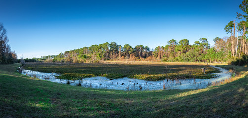 Beautiful winter landscape of South Carolina, USA