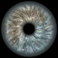 human iris eye
