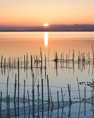 la albufera de Valencia al atardecer © jorgeas