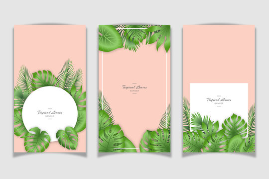 Realistic Tropical Leaves Banner